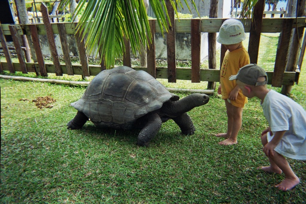 villador-tortues-seychelles-2007