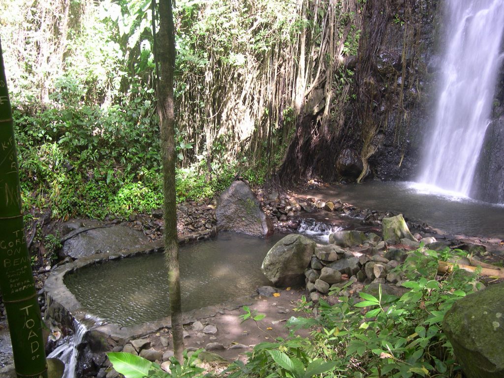 caraibes-janv-2008-excursion-chute-eau-st-vincent