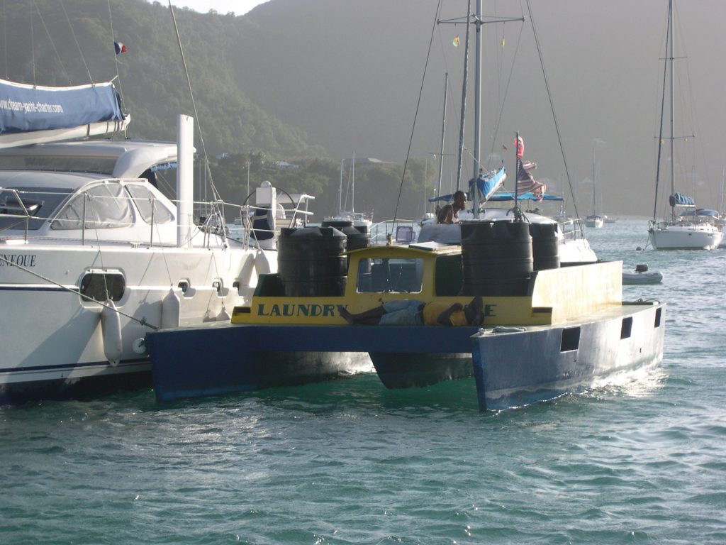 caraibes-janv2008-bequia-dafodil