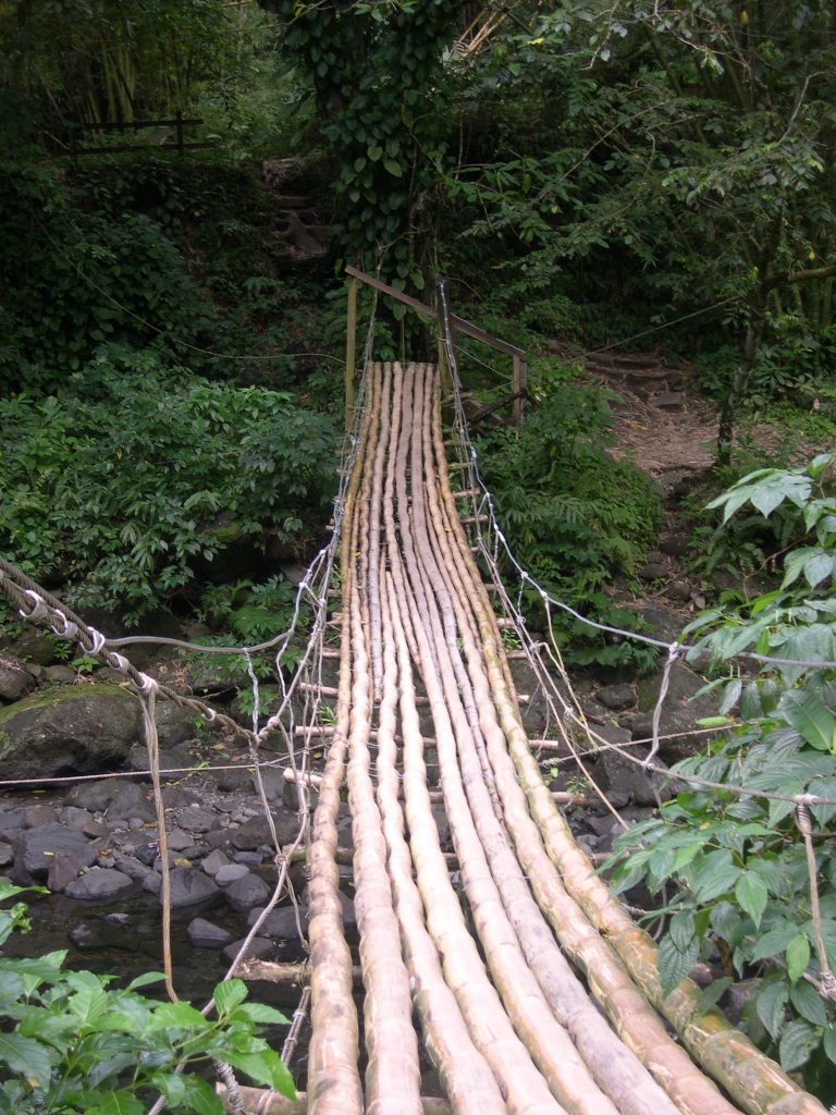 caraibes-janv2088-en-catamaran-excursion-st-vincent-pont-singes