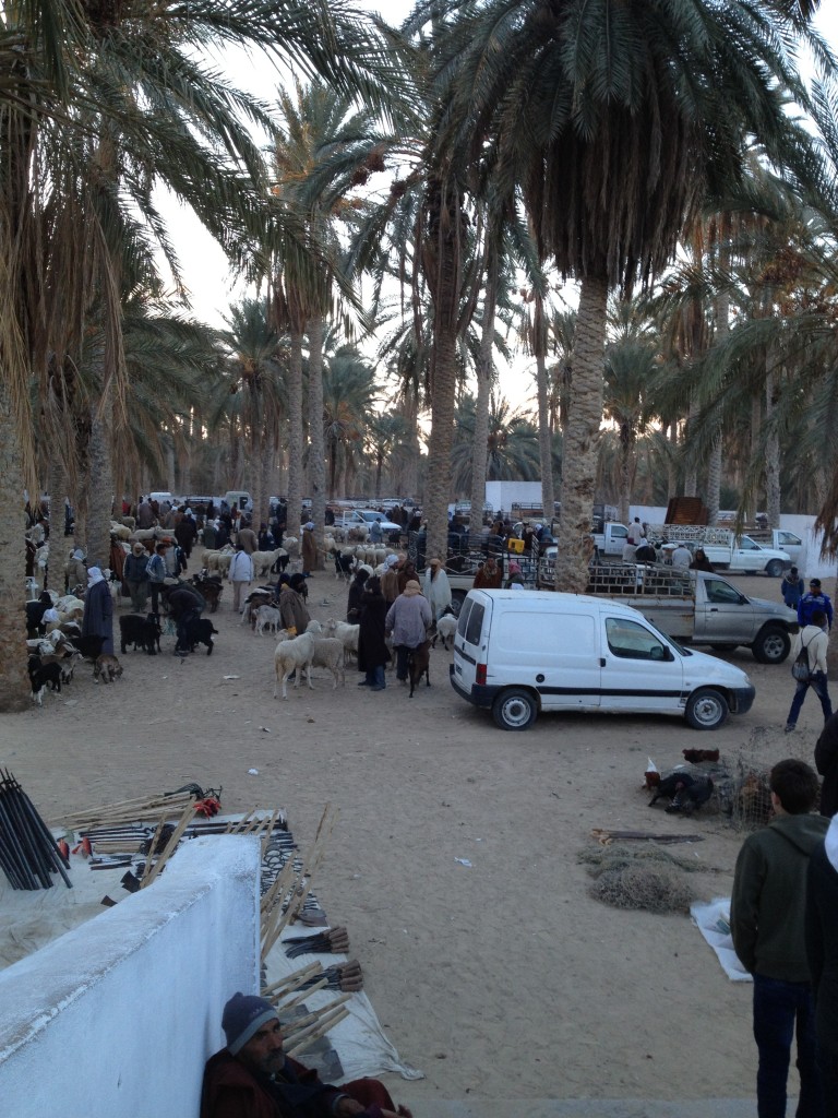 desert-tunisien-j5-marche-douz