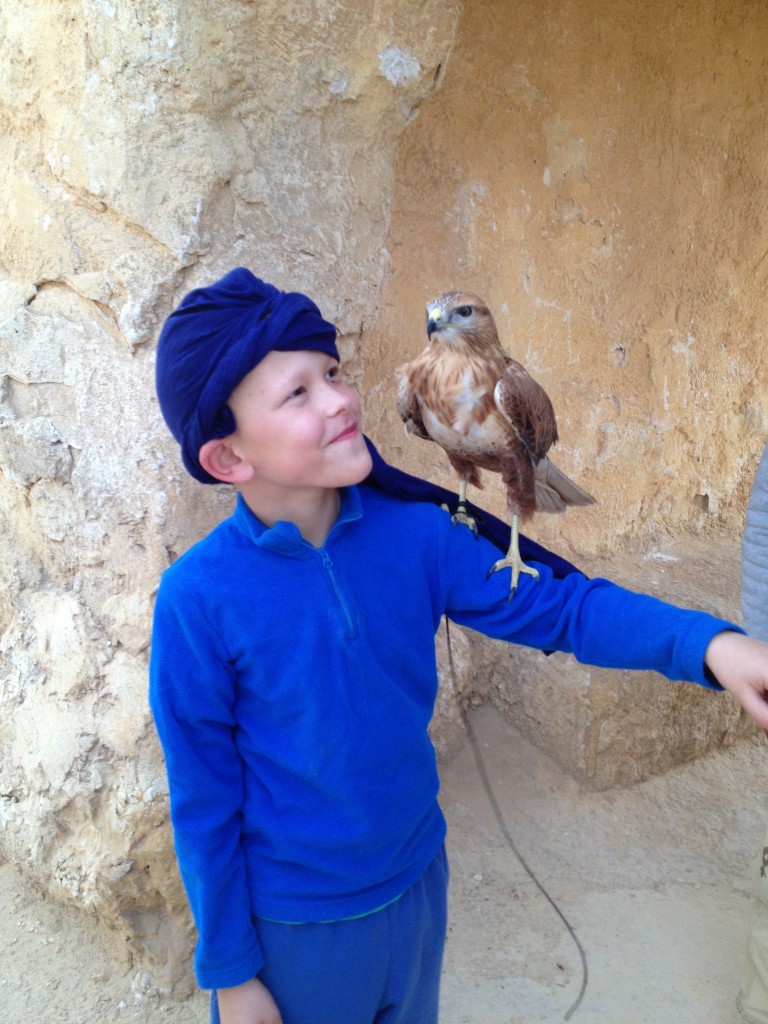 desert-tunisien-j5-faucon-jules