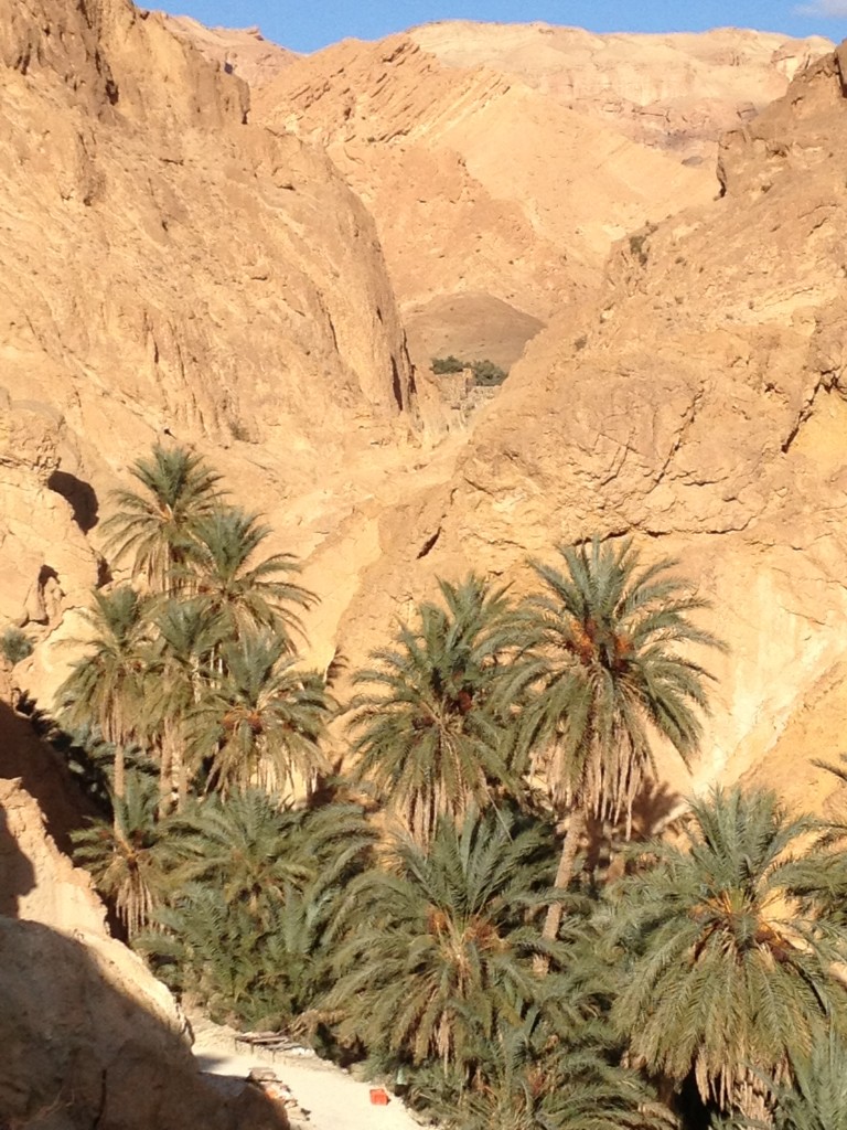 desert-tunisien-j6-oasis-montagne