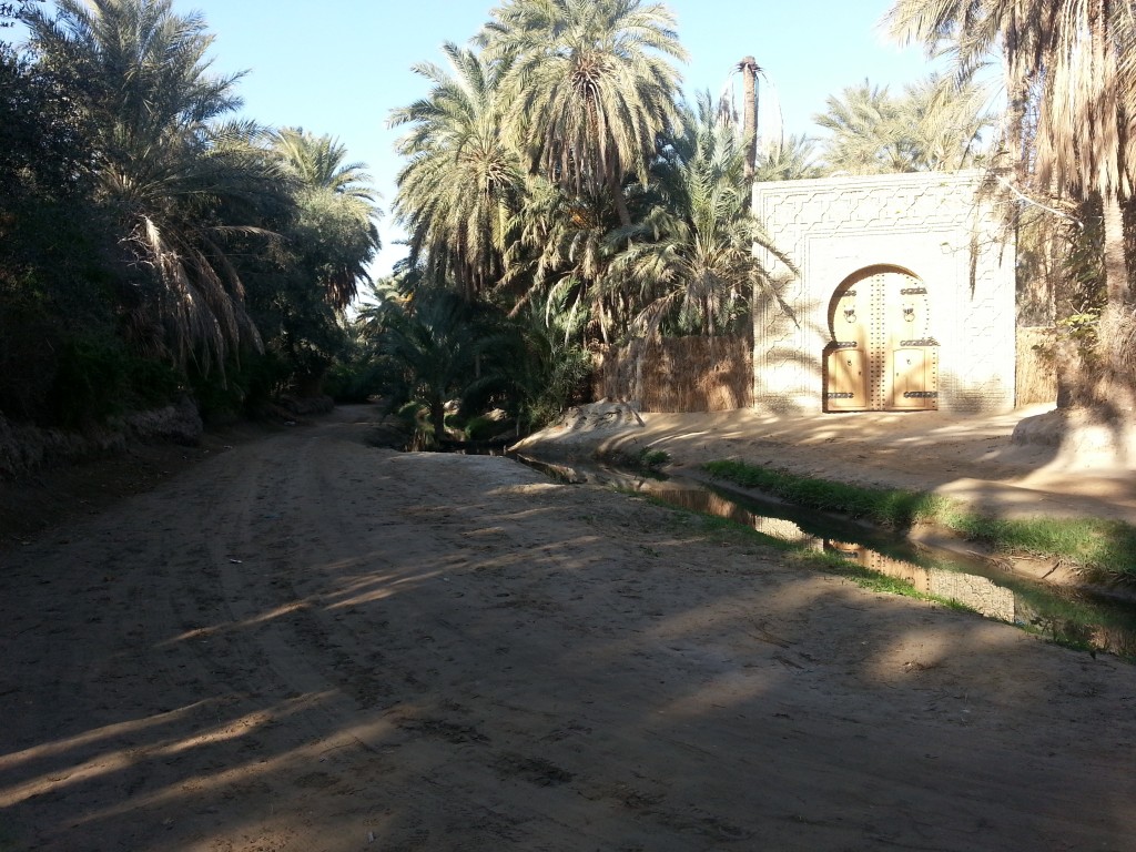 desert-tunisien-j6-palmeraie-tozeur