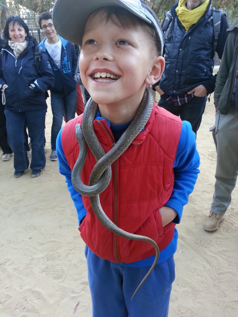 desert-tunisien-j6-zoo-toozeur-serpent