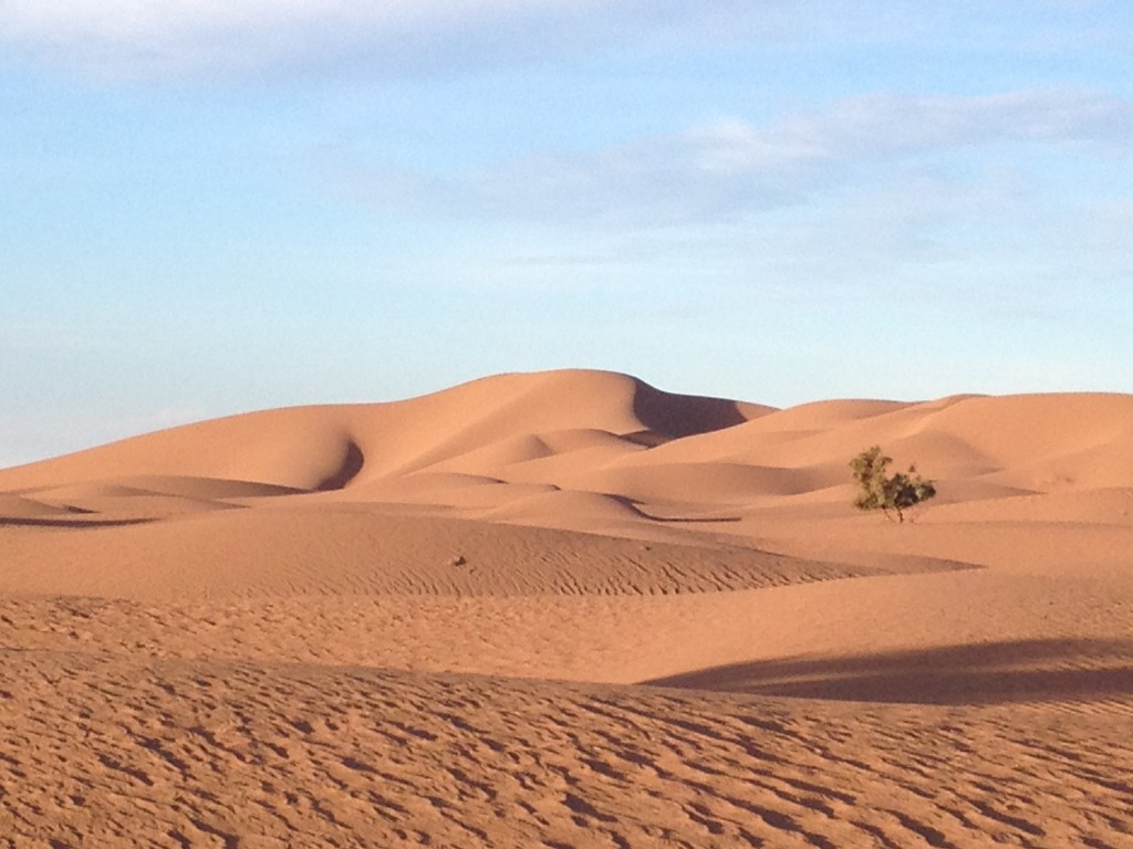 trek-j5-bonne-annee-ds-desert