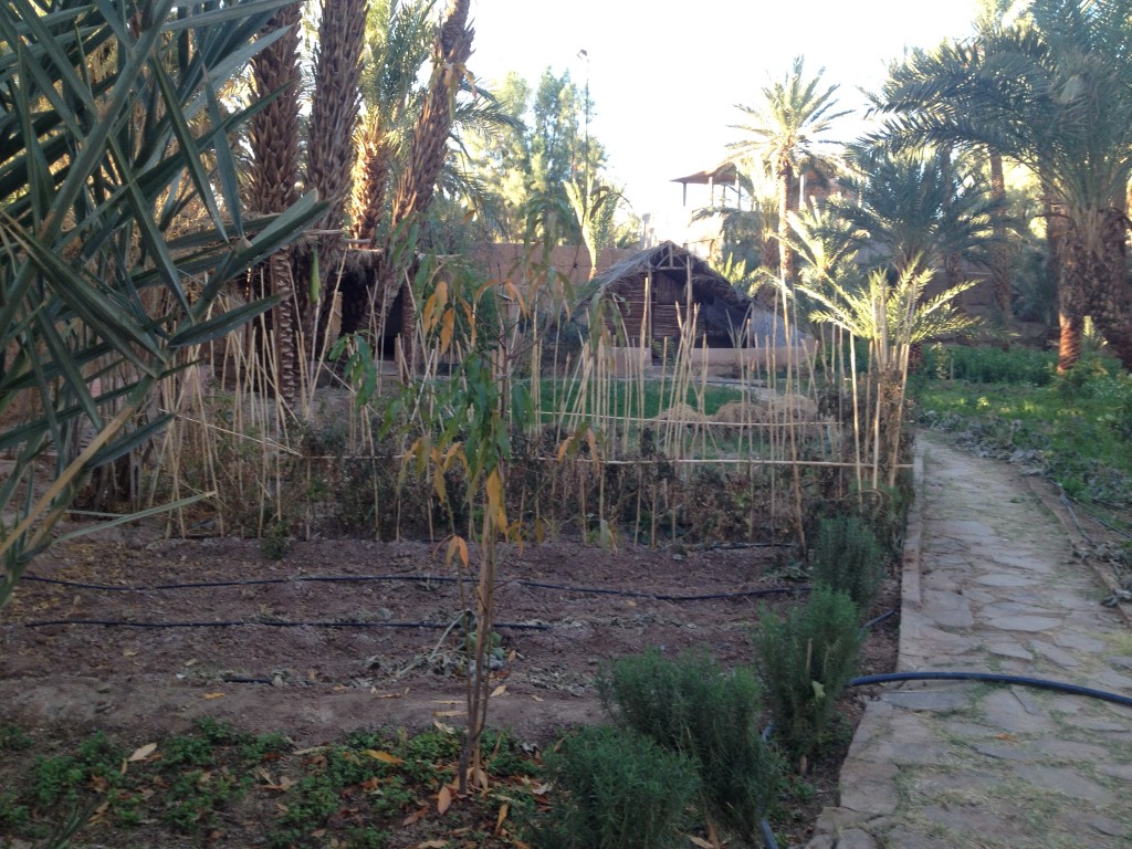 trek-j6-jardin-potager-riad-tabhirte