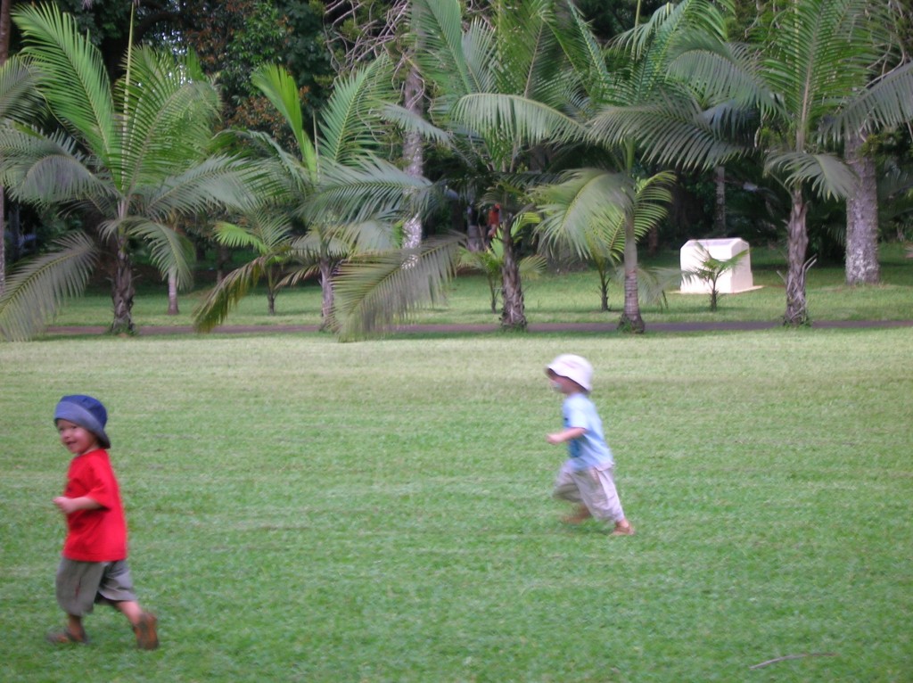 jardin-pamplemousse-ilemaurice-air- jeux