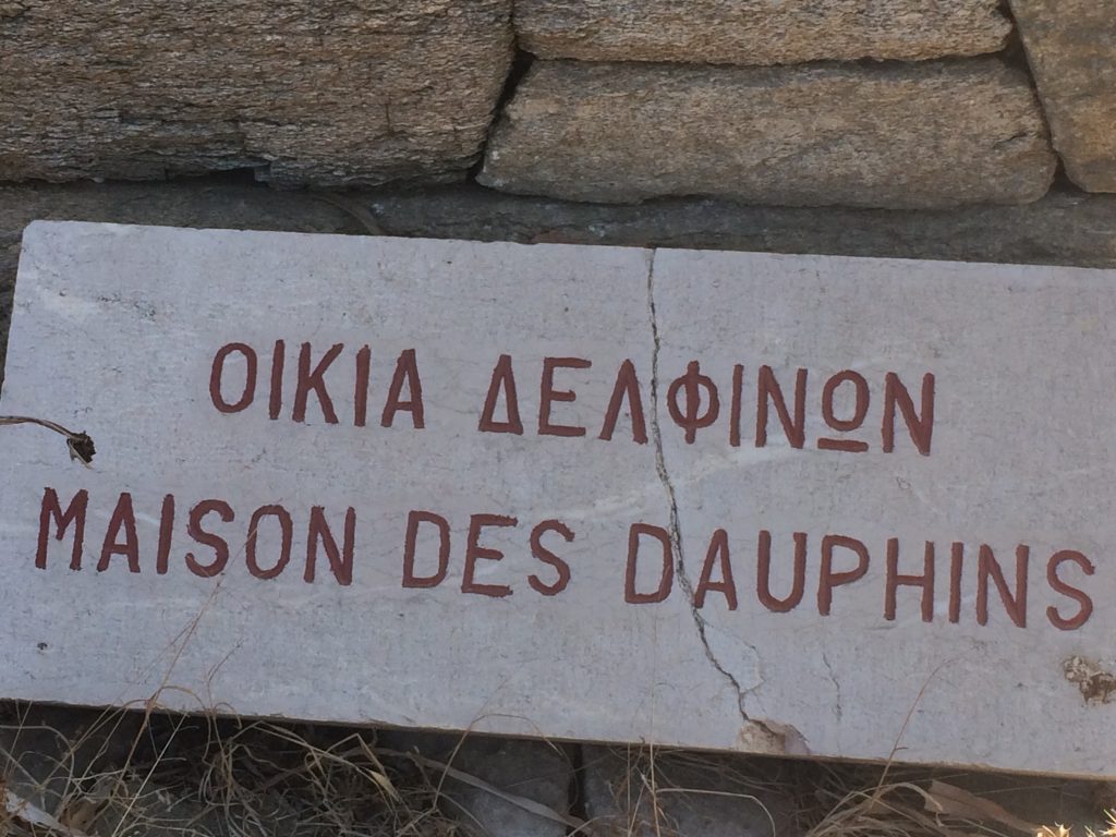 cyclades-en-cata-ete2016-delos-dauphins