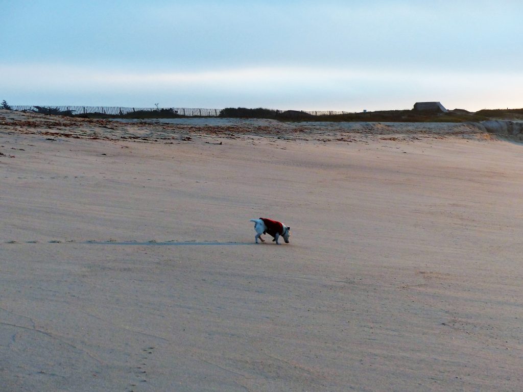 j2-plage-reun-bretagne-oct-2016-28