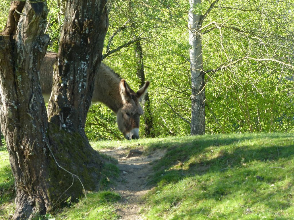 avril17-ane-MFv-domaine-varennes