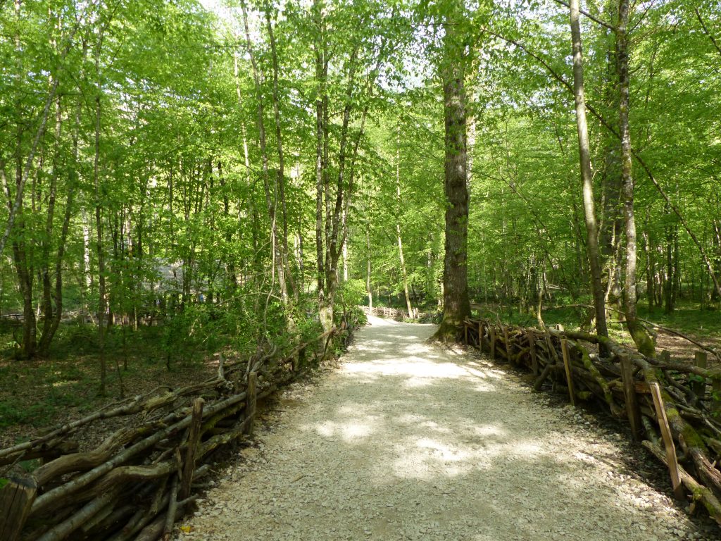 avril17-chemin-du-moulin-guedelon-MFV