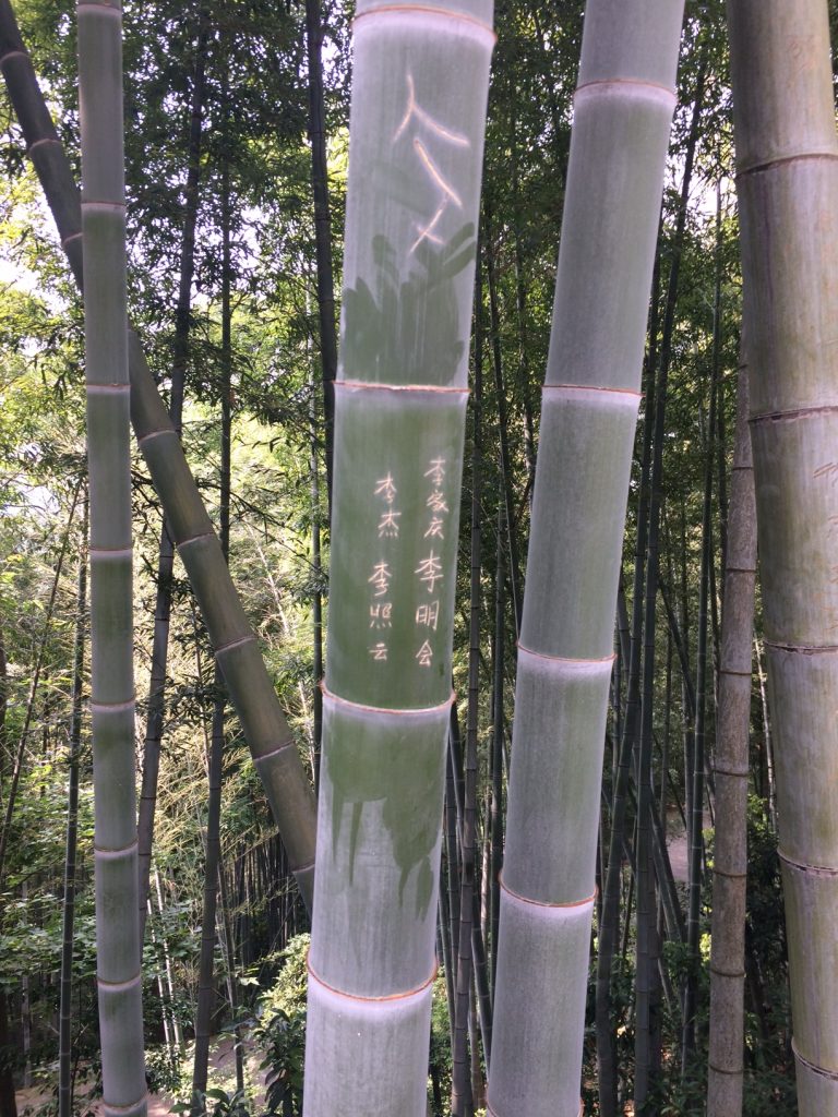 8Juin17-MFV-chine-amoureux-Tiantong temple