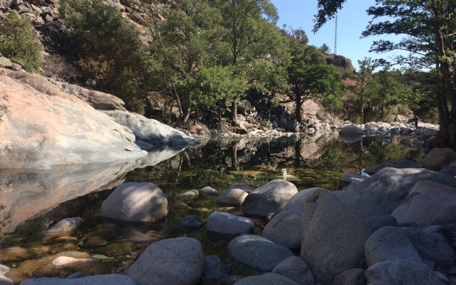 rivière-corse-asco-moltifao