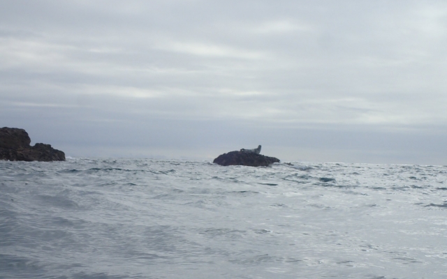 Ile de Sein Nautisme OLYMPUS DIGITAL CAMERA 