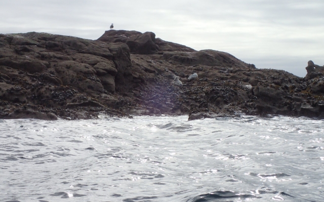 Ile de Sein Nautisme (OLYMPUS DIGITAL CAMERA )