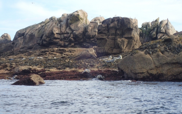 Ile de Sein Nautisme (OLYMPUS DIGITAL CAMERA )