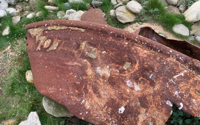 Ils sont nombreux tout autour des plages