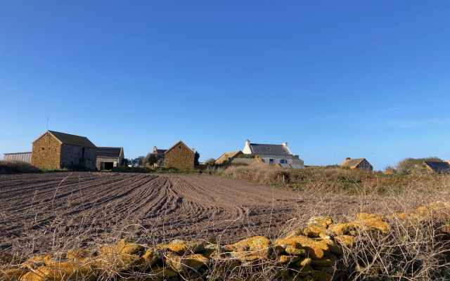 On peut y croiser les lapins;)