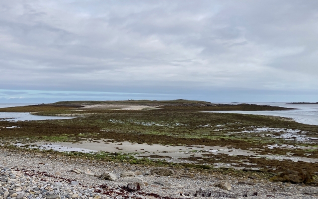 On y entend les phoques tout proche, on croirait de bébés qui pleurent