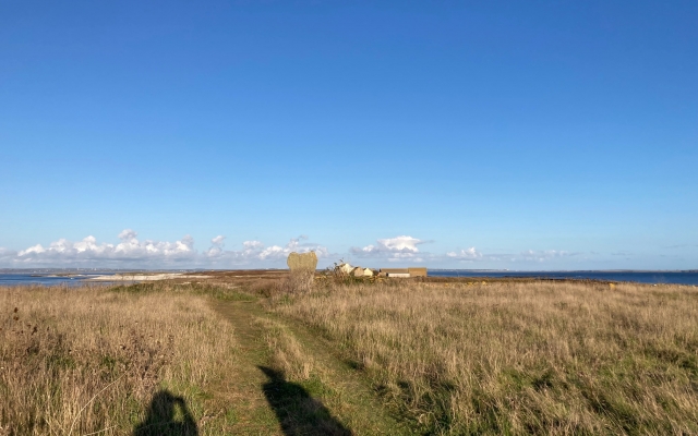 Ils sont forgés par les roues du quad qui sillonne l'île.