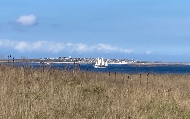Un beau voilier en vadrouille